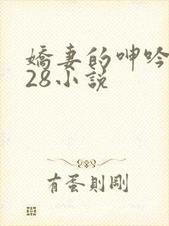娇妻的呻吟1—28小说