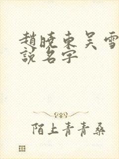 赵晓东吴雪晴小说名字