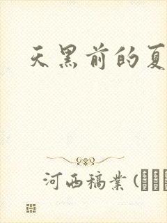 天黑前的夏天