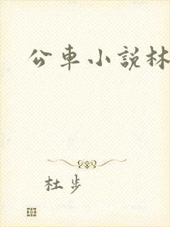 公车小说林蔓蔓