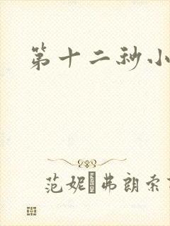 第十二秒小说