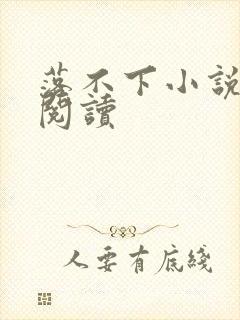 落不下小说免费阅读