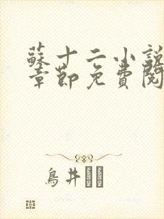 苏十二小说最新章节免费阅读全文