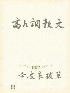 高h调教文