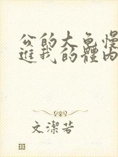 公的大龟慢慢挺进我的体内