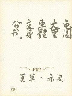 公交车大龟廷进我身体里图