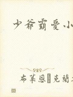 少爷霸爱小丫头