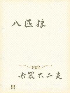 八匹狼