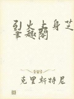 引火上身芝麻糖笔趣阁