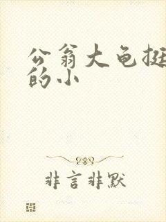 公翁大龟挺进我的小