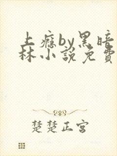 上瘾by黑暗森林小说免费