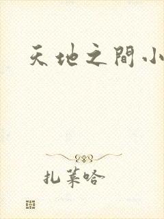 天地之间小说