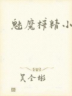 魅魔榨精小说