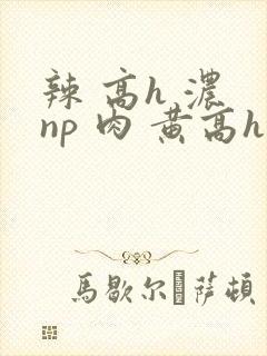 辣 高h 浓 np 肉 黄高h