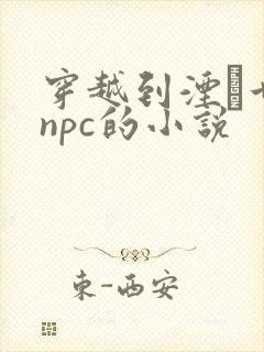 穿越到湮婸世界npc的小说