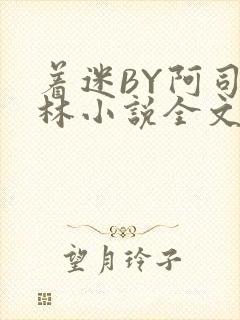 着迷BY阿司匹林小说全文免费阅读