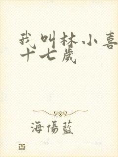 我叫林小喜今年十七岁
