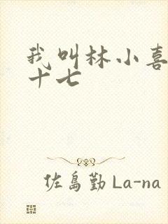 我叫林小喜今年十七