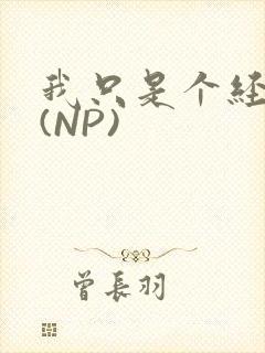 我只是个经纪人(NP)