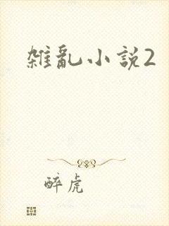 杂乱小说2