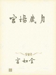 官场岁月