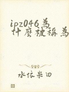ipz046为什么被称为神作