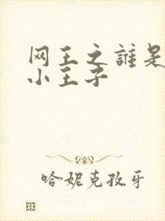 网王之谁是我的小王子
