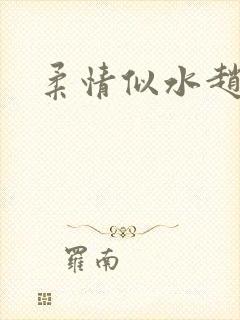 柔情似水赵雅儿