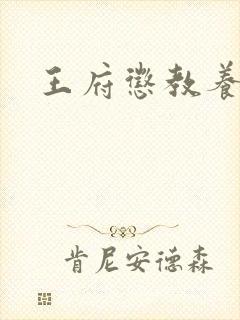 王府惩教养日常