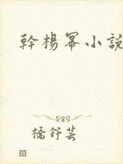 干杨幂小说封面