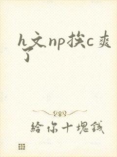 h文np挨c爽了