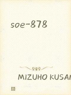 soe-878