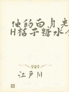 他的白月光HVH桔子糖水全文