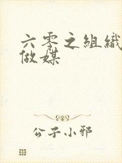 六零之组织给我做媒