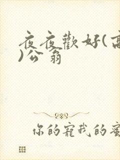 夜夜欢好(高h)公翁