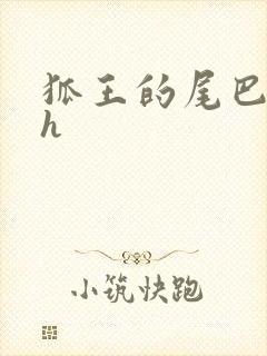 狐王的尾巴高ah