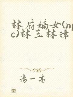林府嫡女(npc)林玉林璋