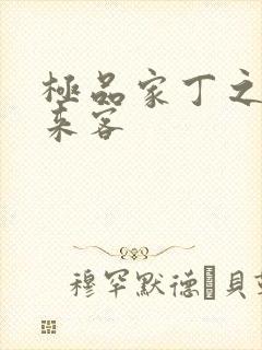 极品家丁之远方来客