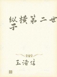 纵横第二世界宽子