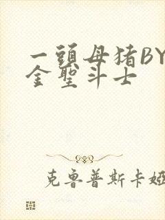 一头母猪BY黄金圣斗士