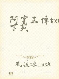 阿宾正传txt下载