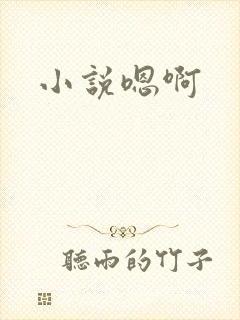 小说嗯啊
