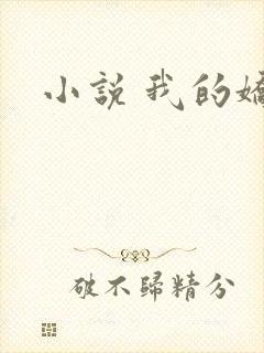 小说 我的娇妻
