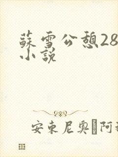 苏雪公憩28篇小说