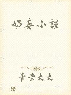 奶妾小说