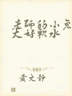 老师的小兔子好大好软水