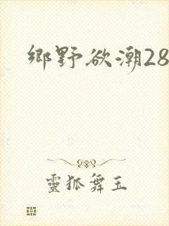 乡野欲潮28章