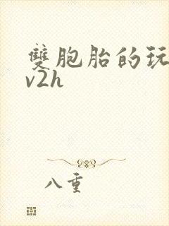 双胞胎的玩具1v2h