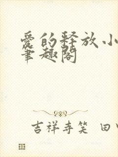 爱的释放小说 笔趣阁