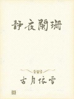 静夜阑珊
